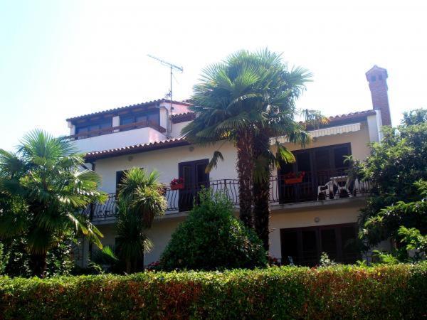 Odak App Rovigno Esterno foto