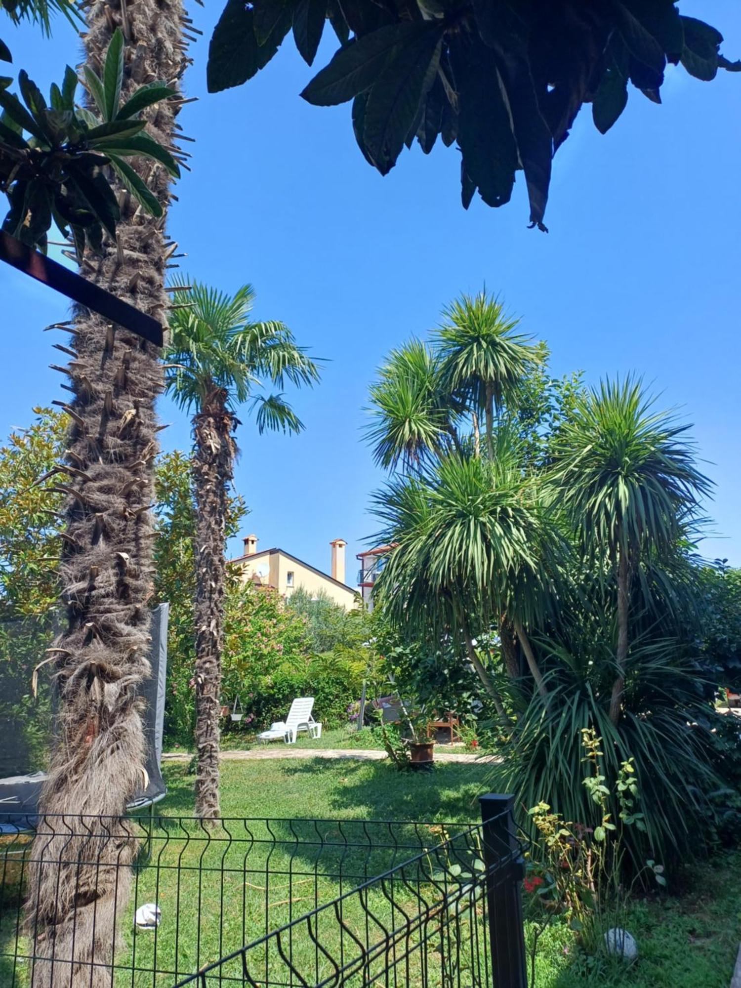 Odak App Rovigno Esterno foto